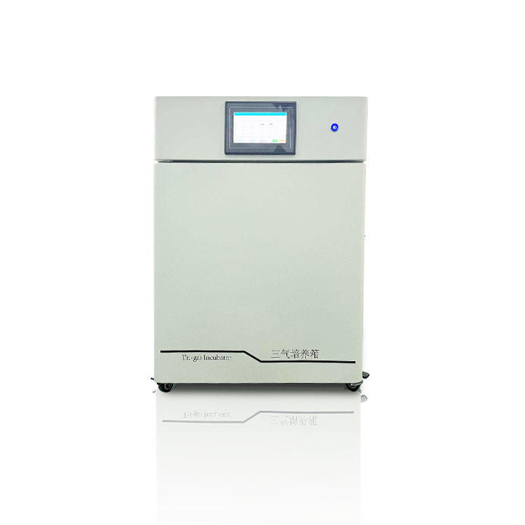 低氧细胞三气培养箱CN-SQ100B